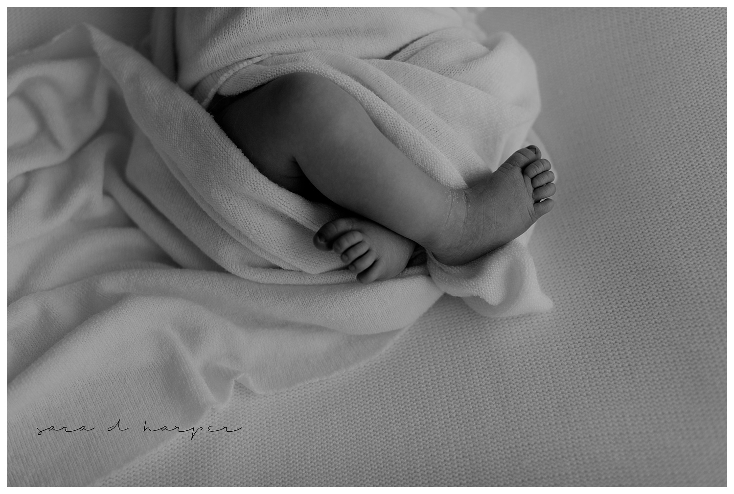 Atlanta Newborn Photography