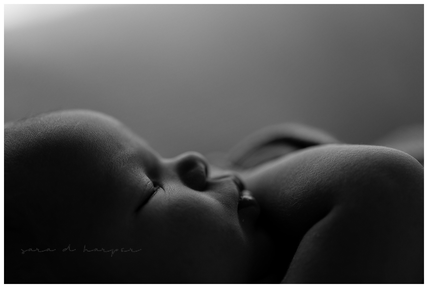 Atlanta Newborn Photography