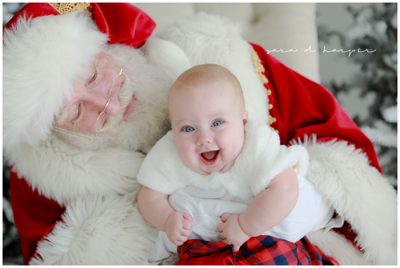 baby Santa photos